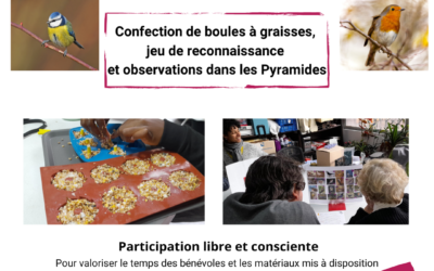 Atelier Oiseaux à la Ressourcerie du Dragon – Evry-Courcouronnes