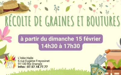 Récolte de graines et boutures à L&rsquo;Idée Halle