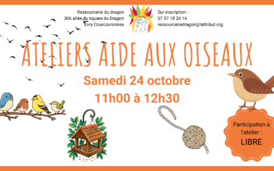 Atelier aide aux oiseaux à la ressourcerie du Dragon – Evry Courcouronnes